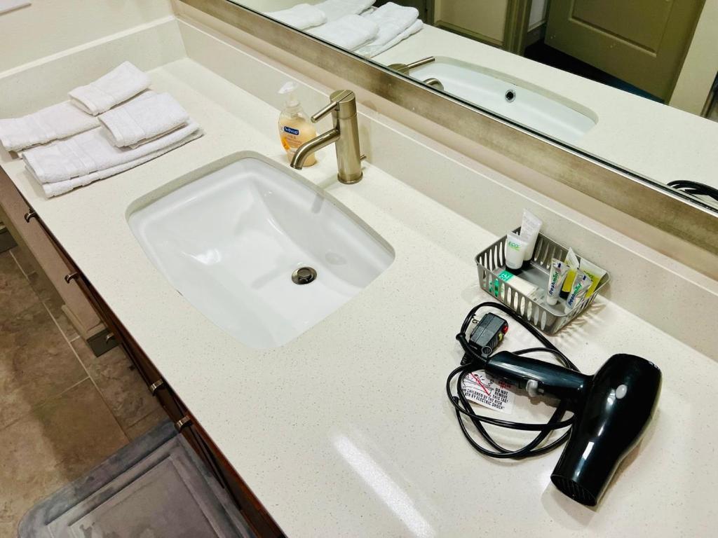 Downtown Apt Free Parking - Pool - Gym - Fully Kitchen ヒューストン エクステリア 写真